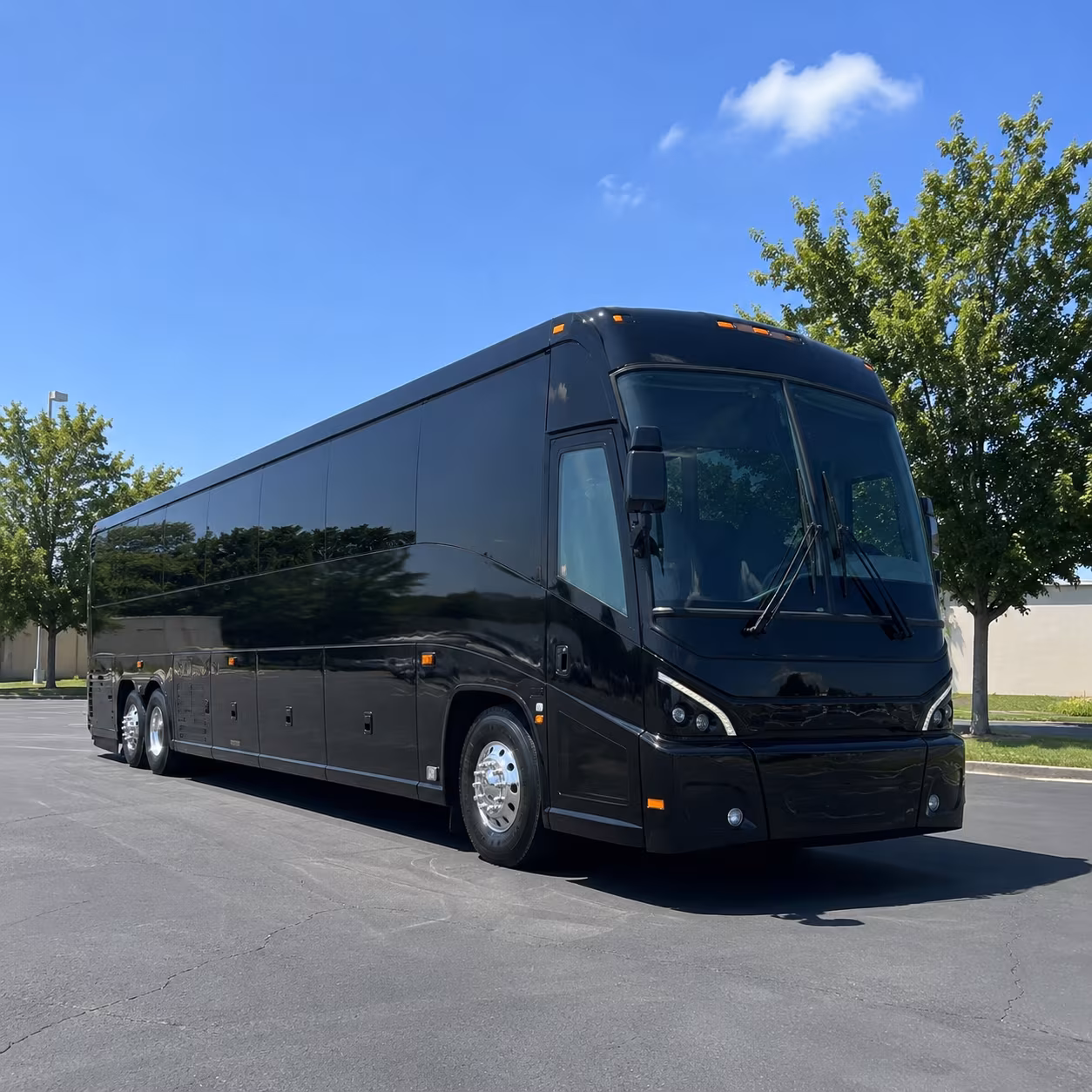 san francisco 56 passenger charter bus