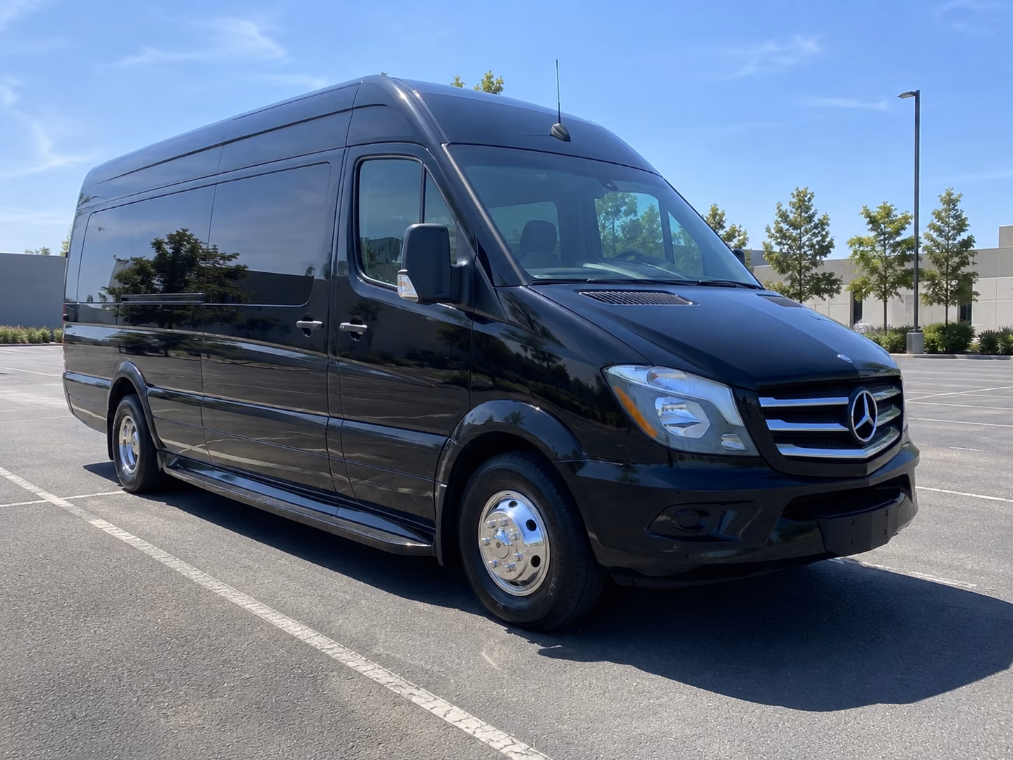 san francisco sprinter van with driver